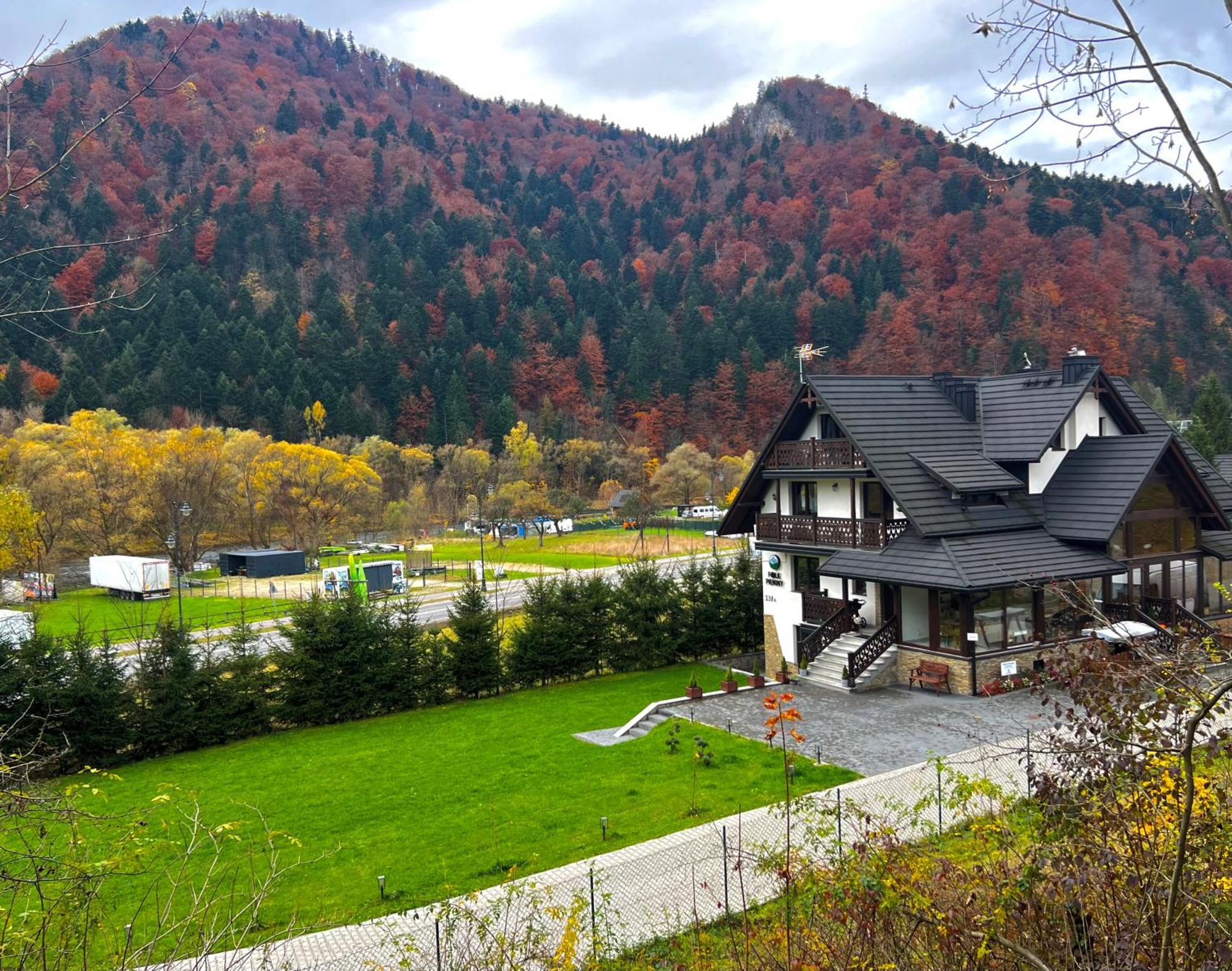 Willa Folk Pieniny ชซาฟนีซา ภายนอก รูปภาพ